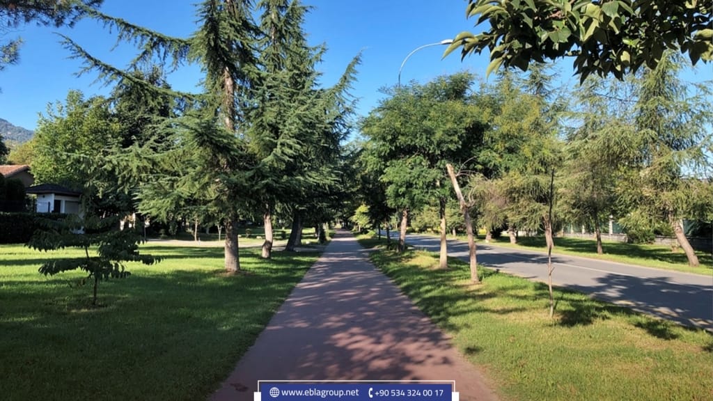 العقارات في صبنجة