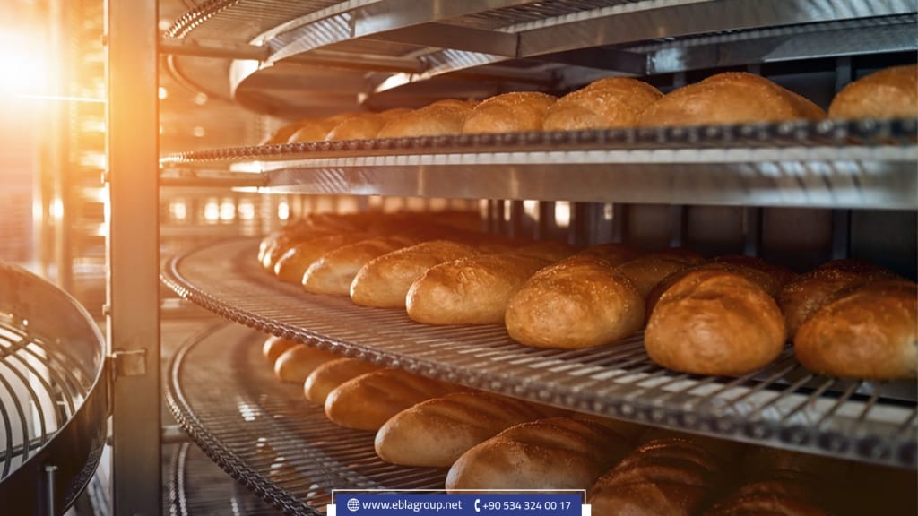 Türkiye in the Guinness World Records
