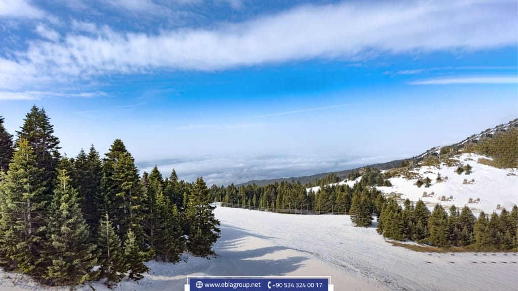 The best real estate investment areas in Bursa, Turkey