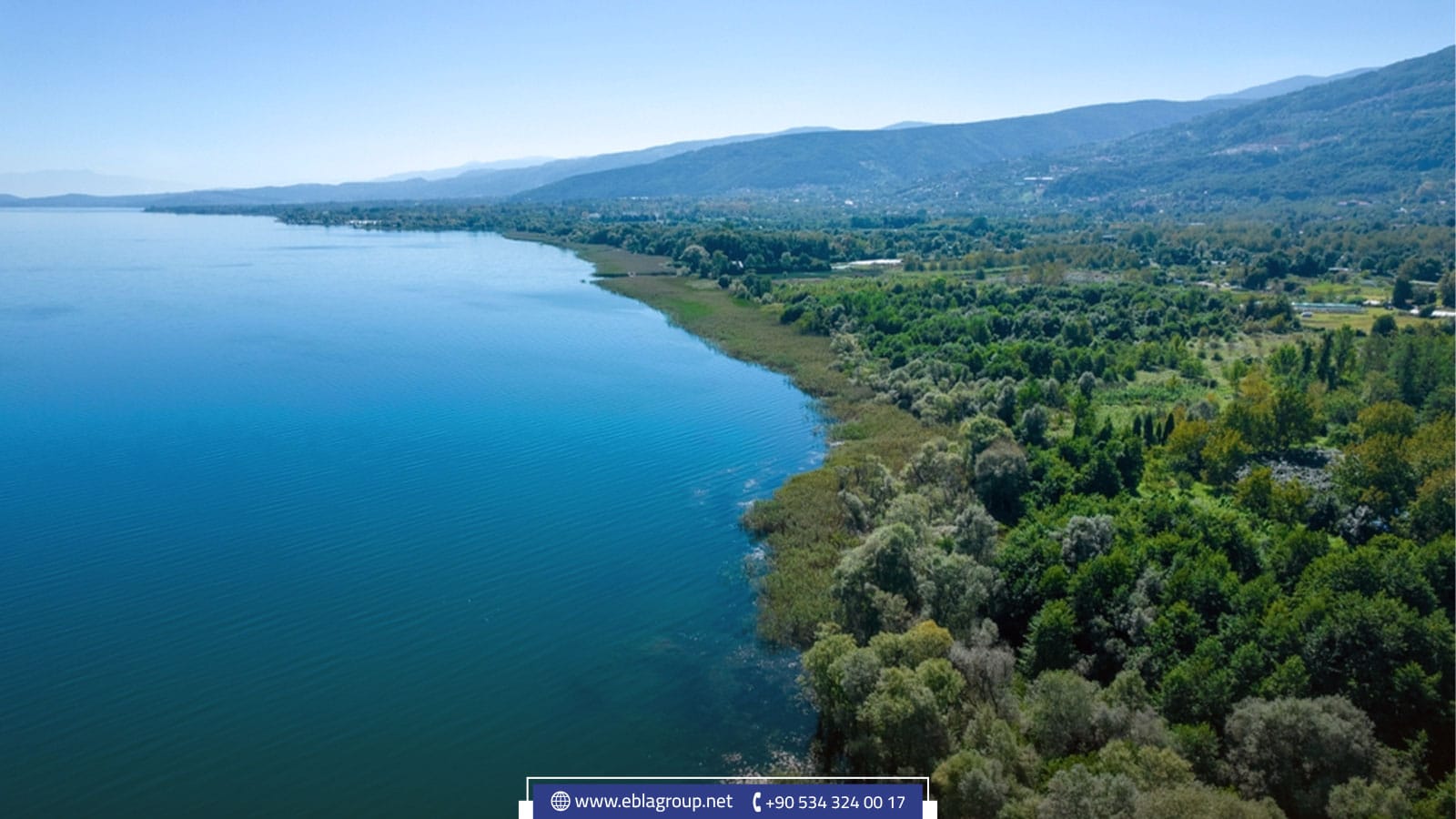 الخدمات في صبنجة