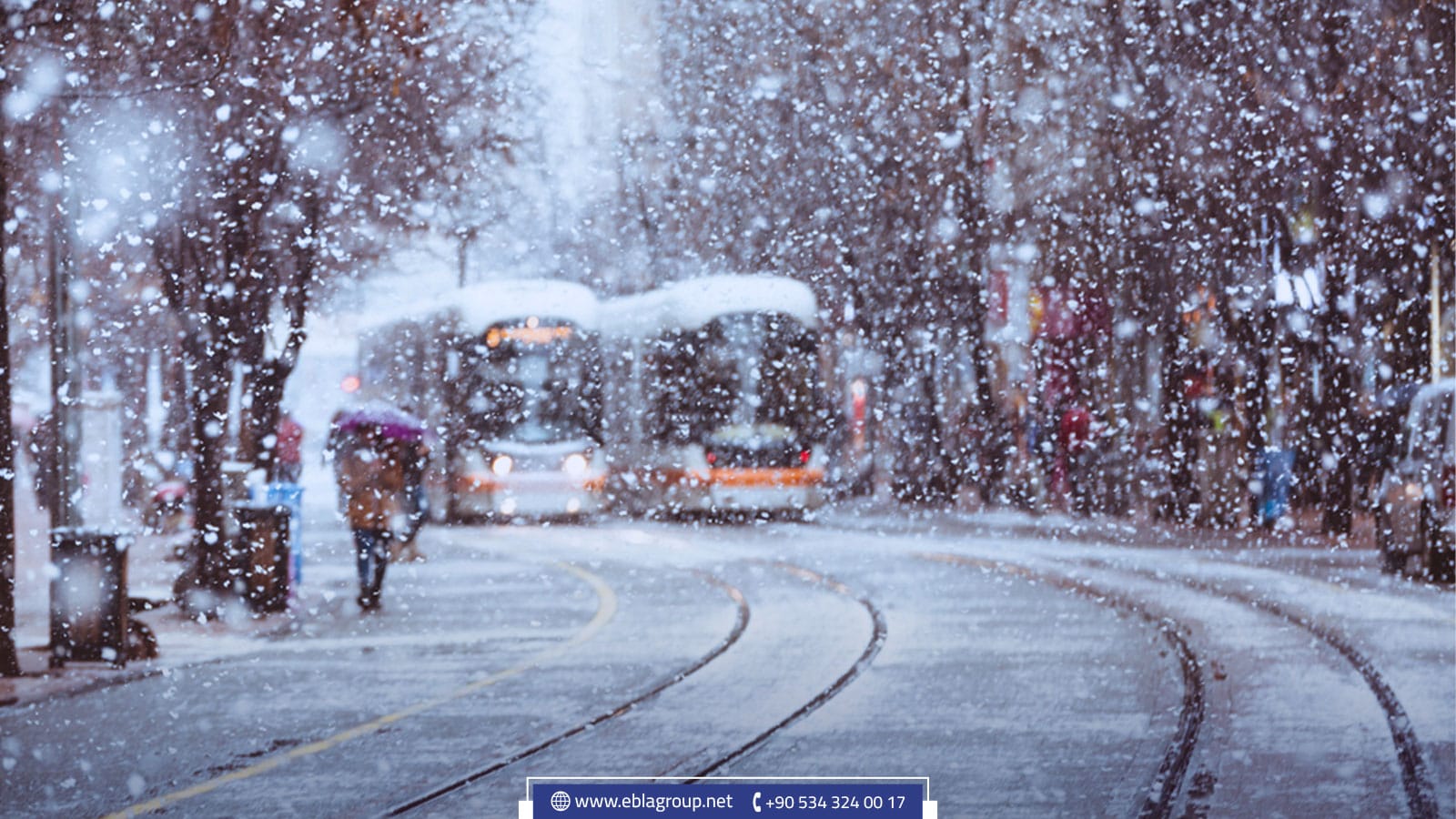 تطور البنية التحتية وصلابتها