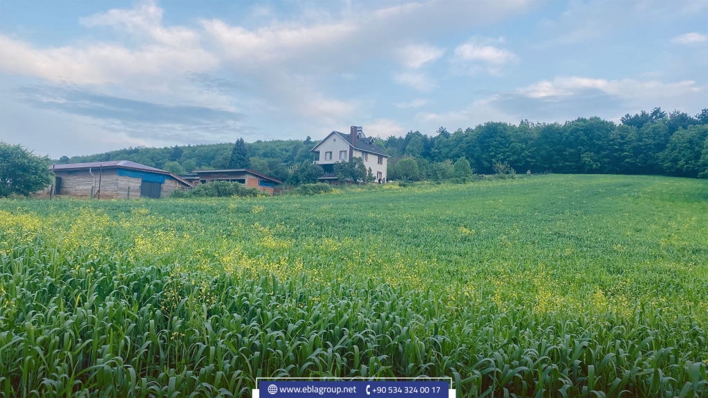 أسباب شراء عقار