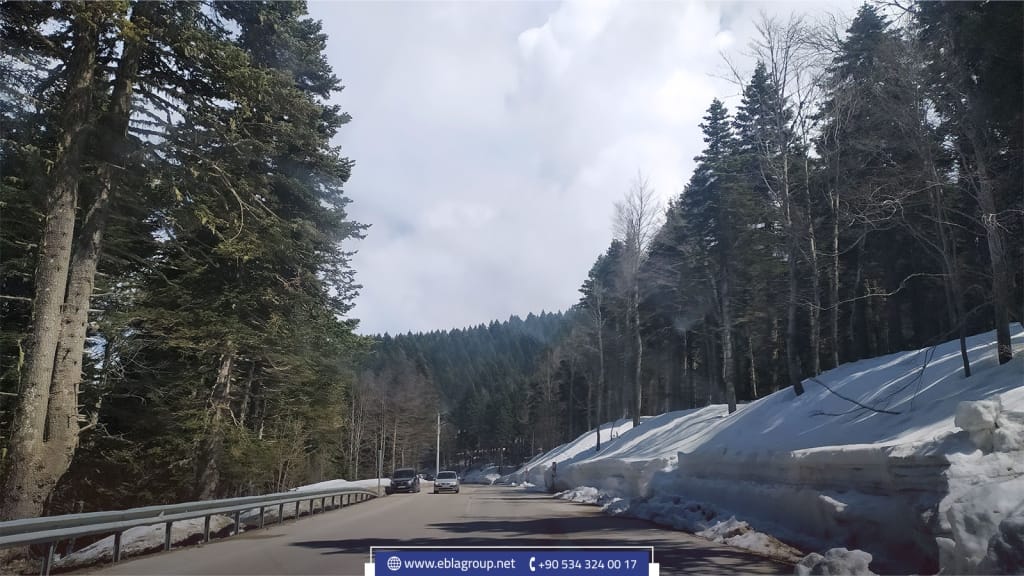 Profitable real estate investments in Bursa