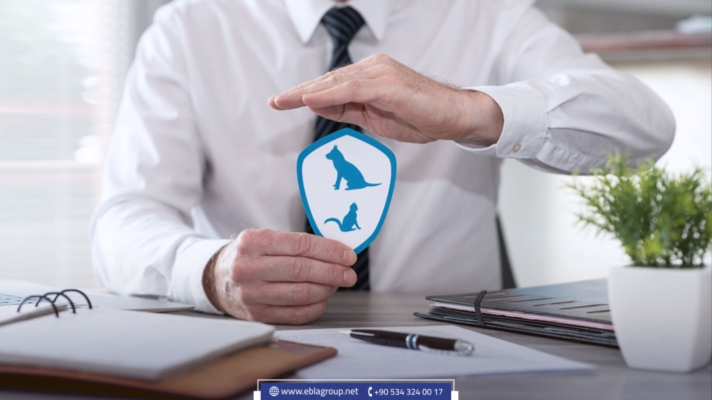 أماكن ومراكز تبني الحيوانات الأليفة في تركيا