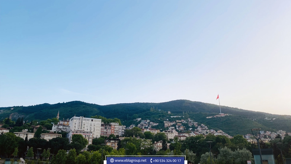 Bursa apartments for sale