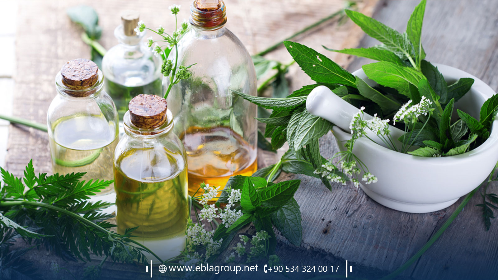 عطارة السلطان