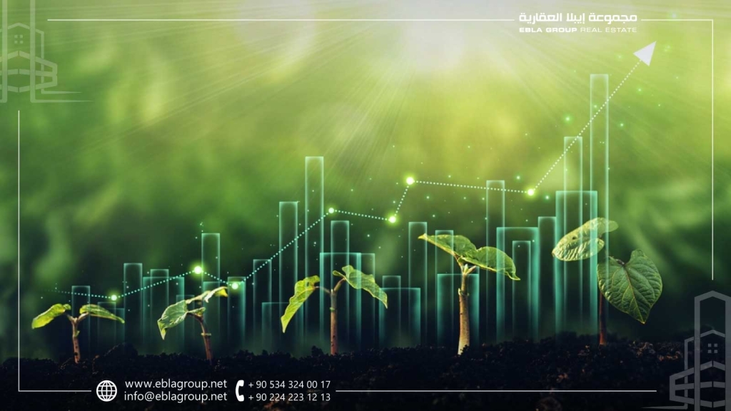 الاستثمار الزراعي في تركيا 2024