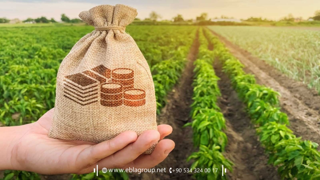 Agricultural investment in Türkiye 2024