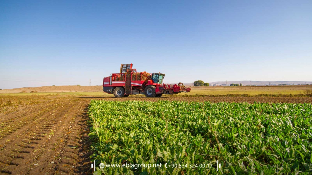 Agricultural investment in Türkiye 2024