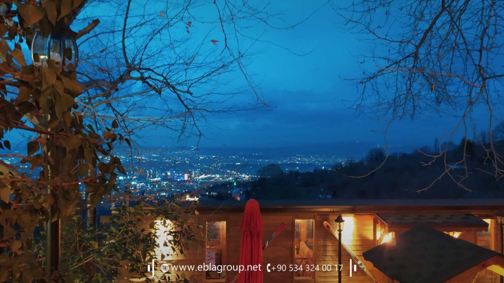 Houses for sale in Doburca Bursa