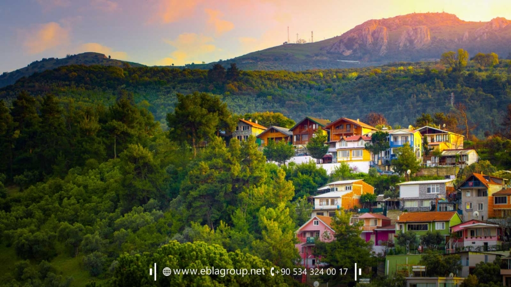 House for sale in Demirtaş Bursa