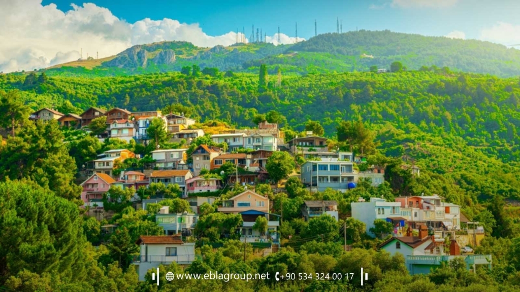 Kayapa Bursa