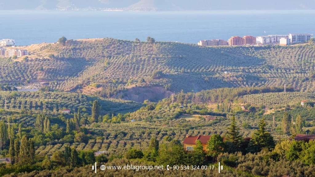 Houses for sale in Gemlik Bursa