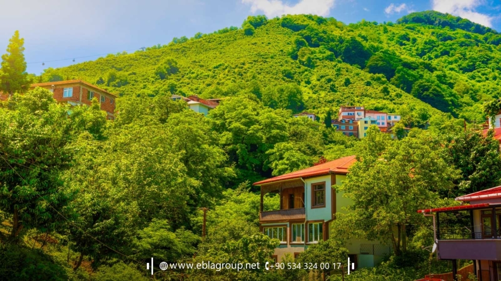 Villas in Bursa 2024