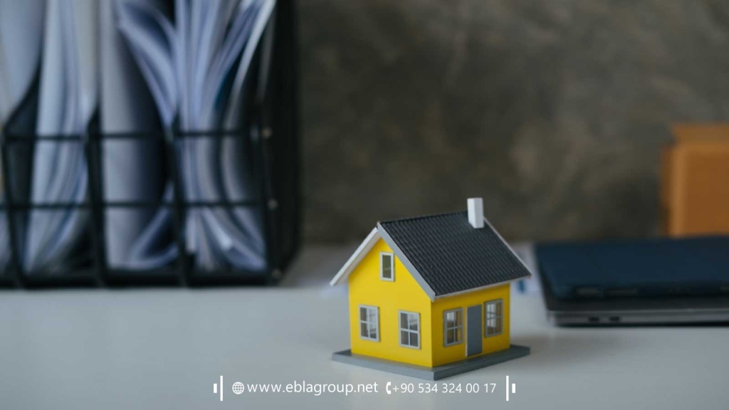 Tips for investing in Türkiye 2024