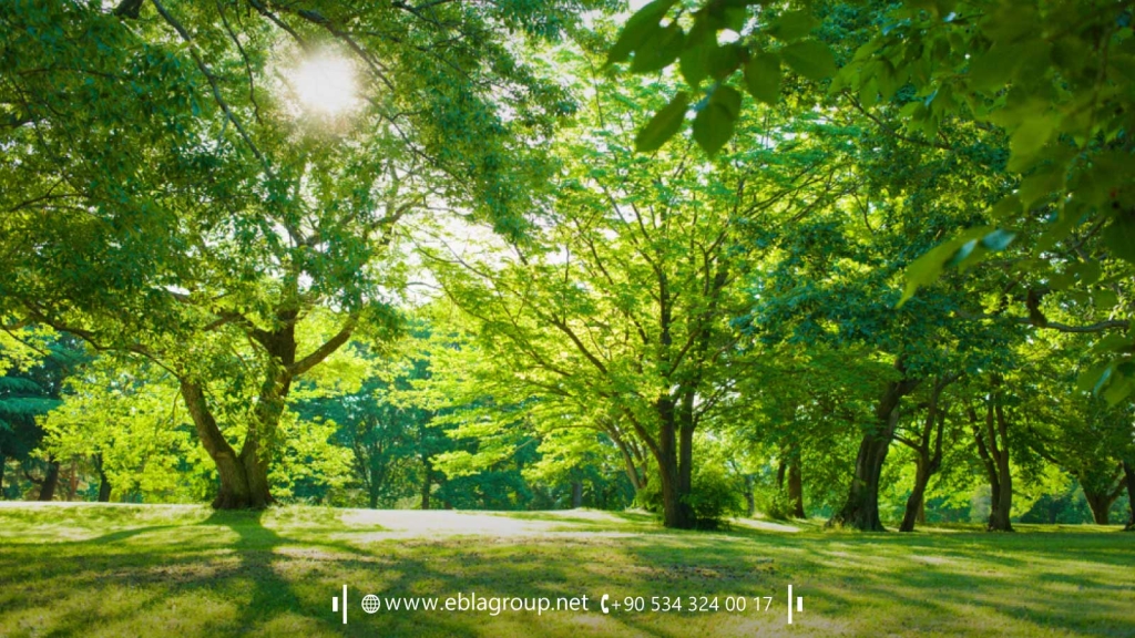 Residential complexes in Millet Bursa