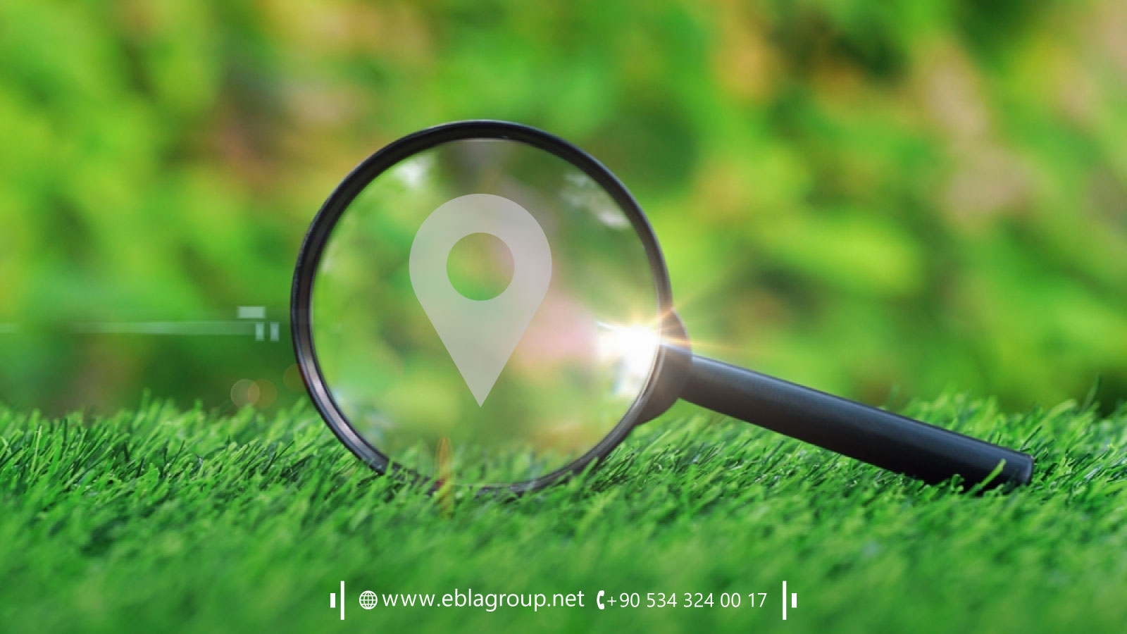 تنويع الاستثمارات