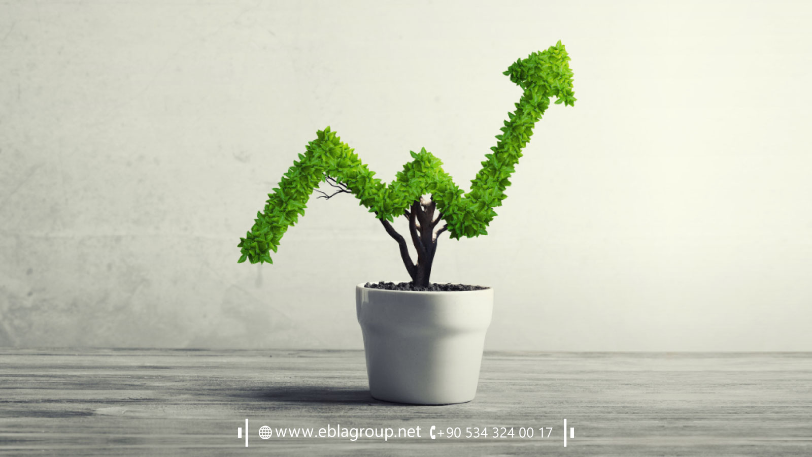 خطوات الاستثمار العقاري الزراعي في بورصة تركيا