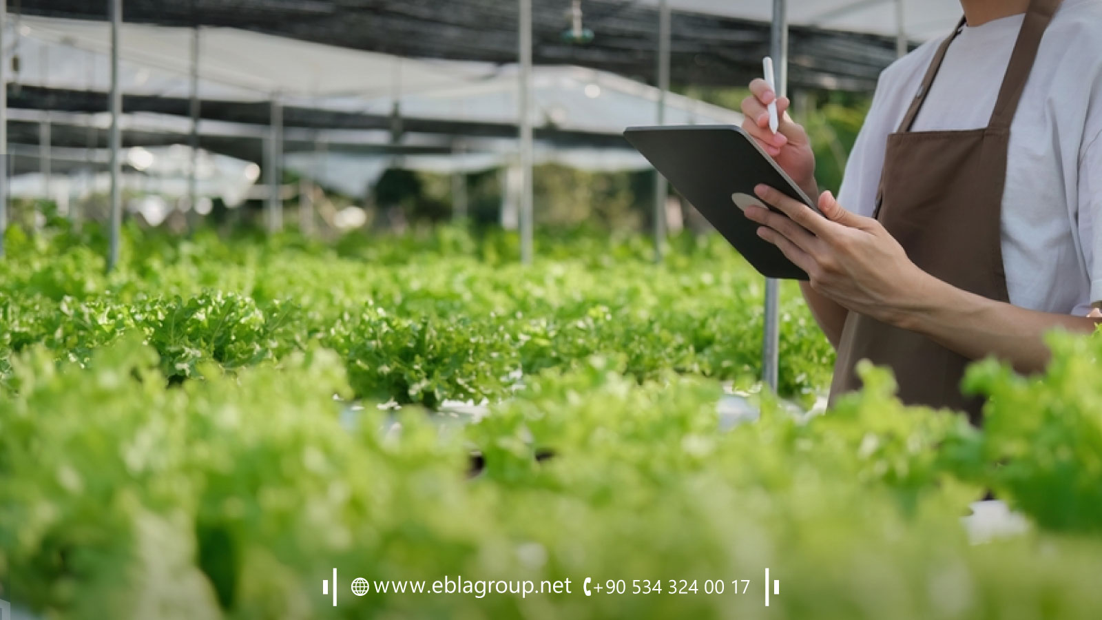 نصائح إضافية للاستثمار في العقارات الزراعية والطبيعية في بورصة تركيا