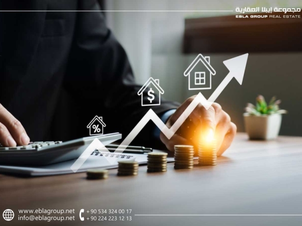 كيفية الحصول على العائد المرجو من استثمار العقارات في بورصة تركيا