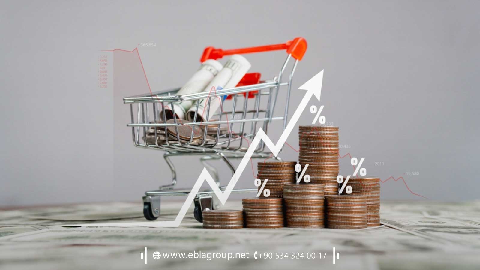 أرباح الاستثمار في شقق بورصة الفندقية تركيا