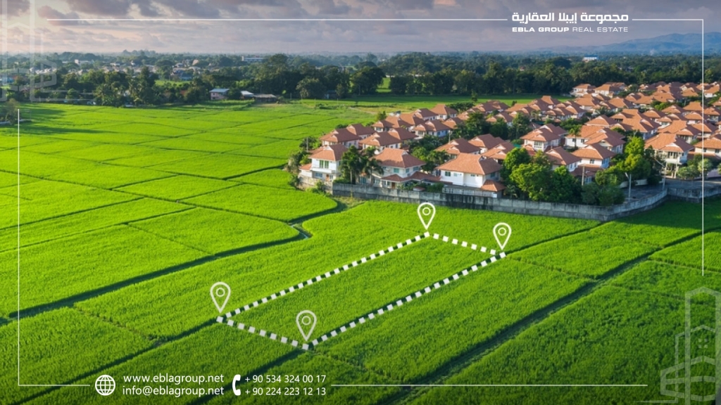 Agricultural real estate in Bursa