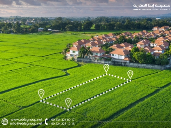 Agricultural real estate in Bursa