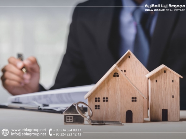 Types of properties in Bursa apartments, villas, shops
