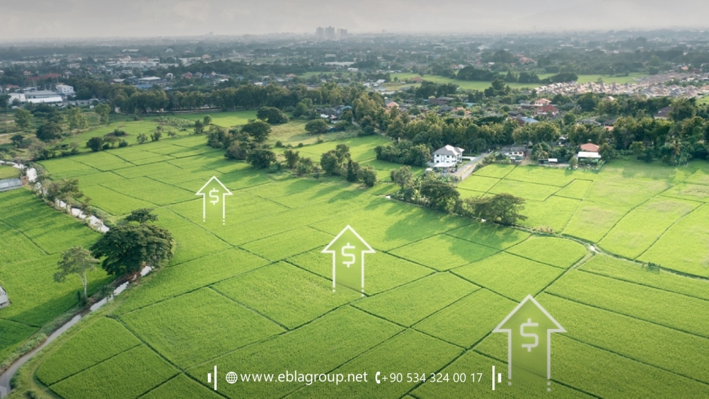 Tips for Investing in Agricultural Real Estate in Bursa Türkiye