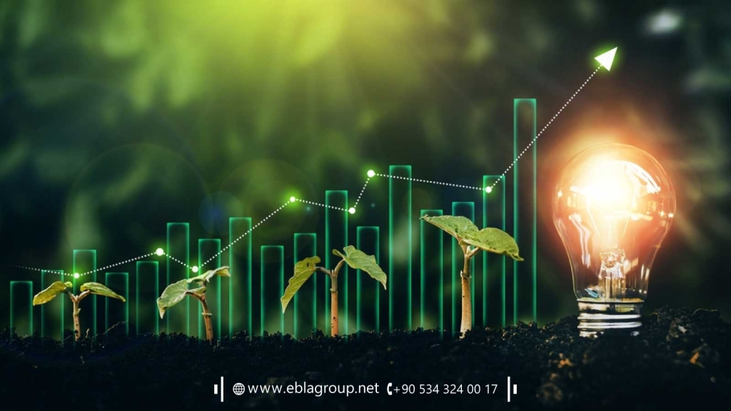 Top Tips for Investing in Agricultural Real Estate in Bursa Türkiye