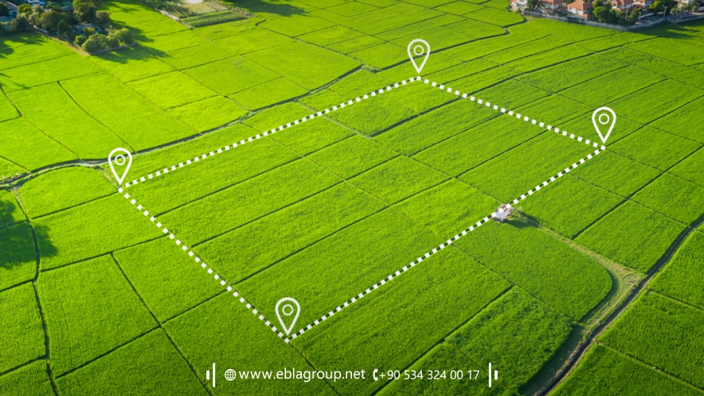 Agricultural real estate in Bursa