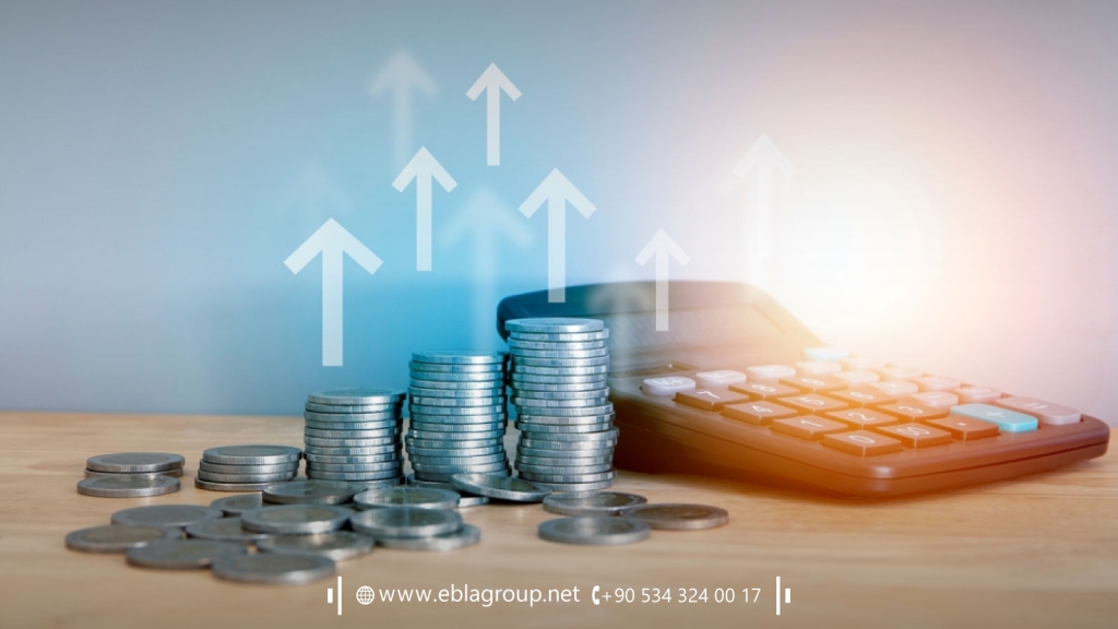 Expected returns on investing in furnished apartments in Bursa Türkiye