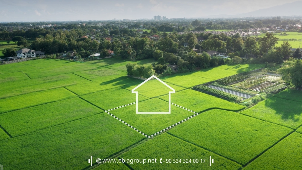 Tips for Investing in Agricultural Real Estate in Bursa Türkiye