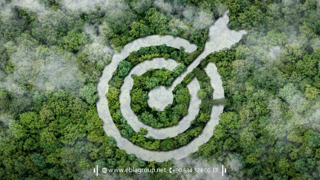 Top Tips for Investing in Agricultural Real Estate in Bursa Türkiye