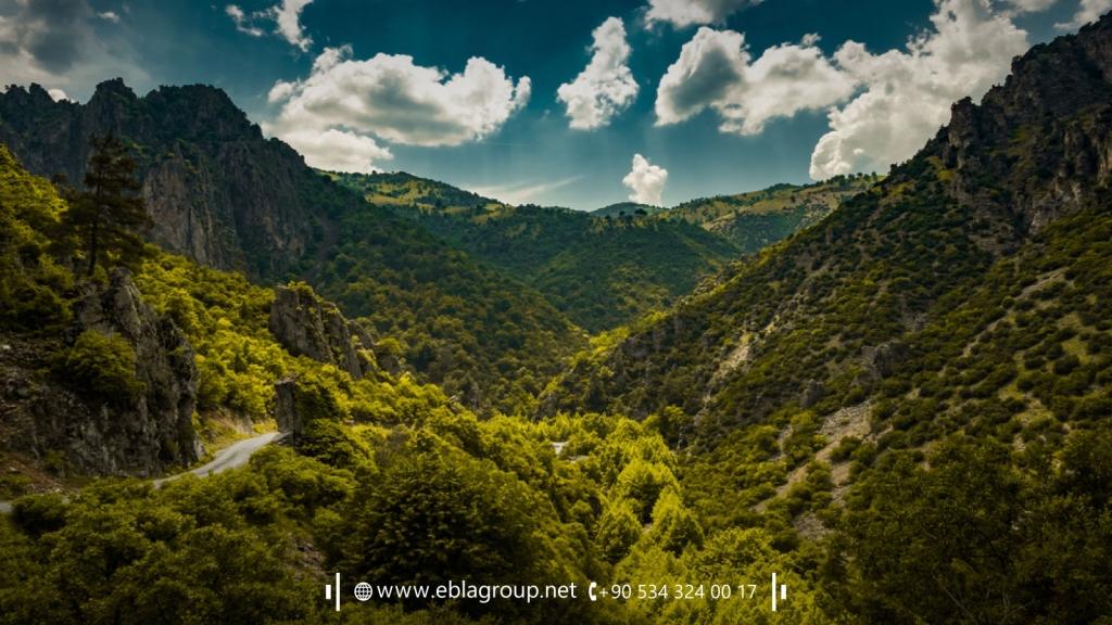 The impact of economic crises on the real estate market in Bursa Türkiye