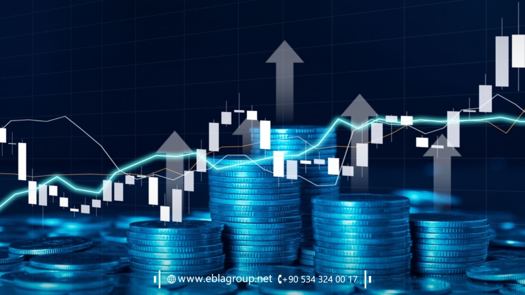 Comprehensive analysis of the real estate market in Bursa