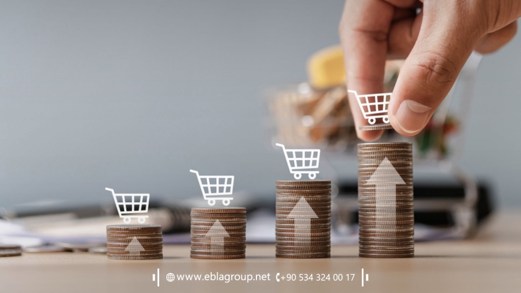 Types of properties in Bursa apartments, villas, shops