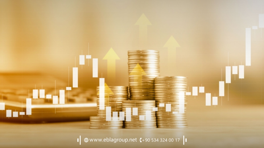 Reasons for the increasing demand for real estate in Bursa Türkiye