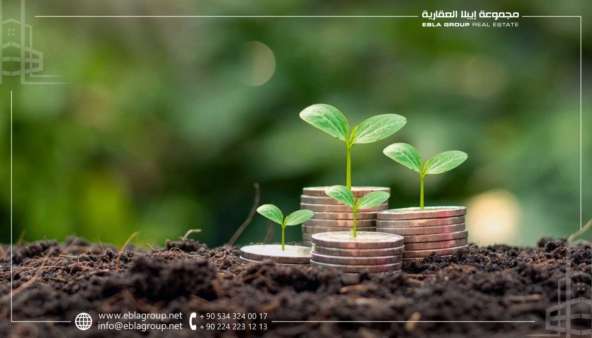 الاستثمار العقاري الزراعي في بورصة تركيا
