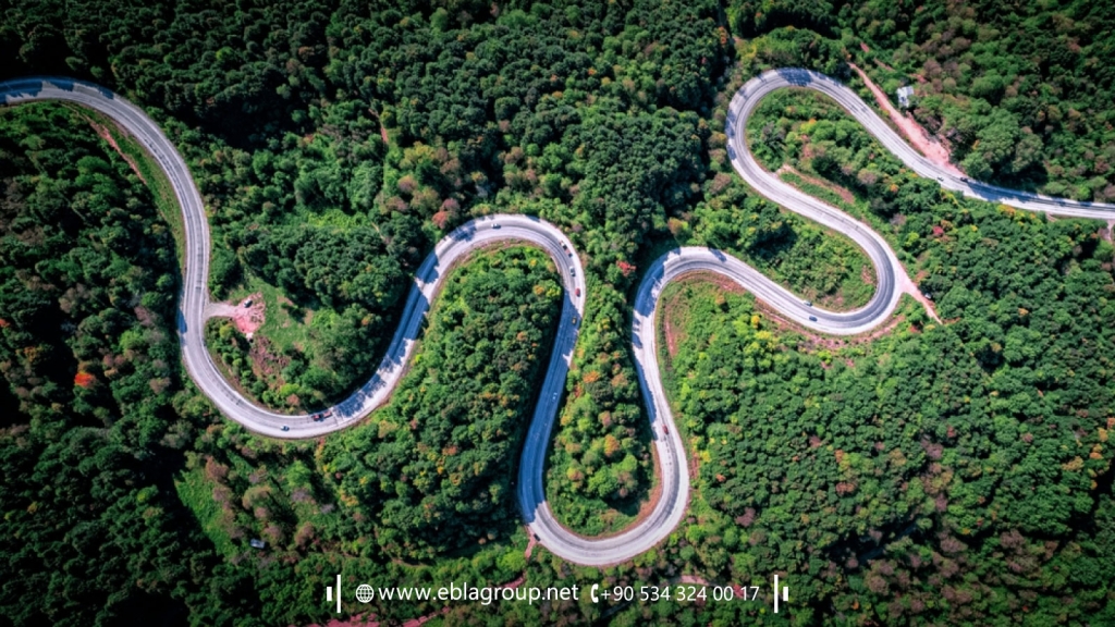 ضريح تورغوت ألب بورصة