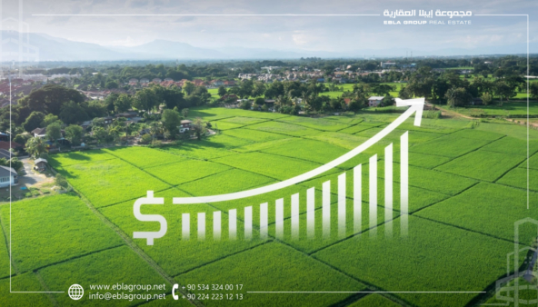 نصائح الاستثمار في العقارات الزراعية والطبيعية في بورصة