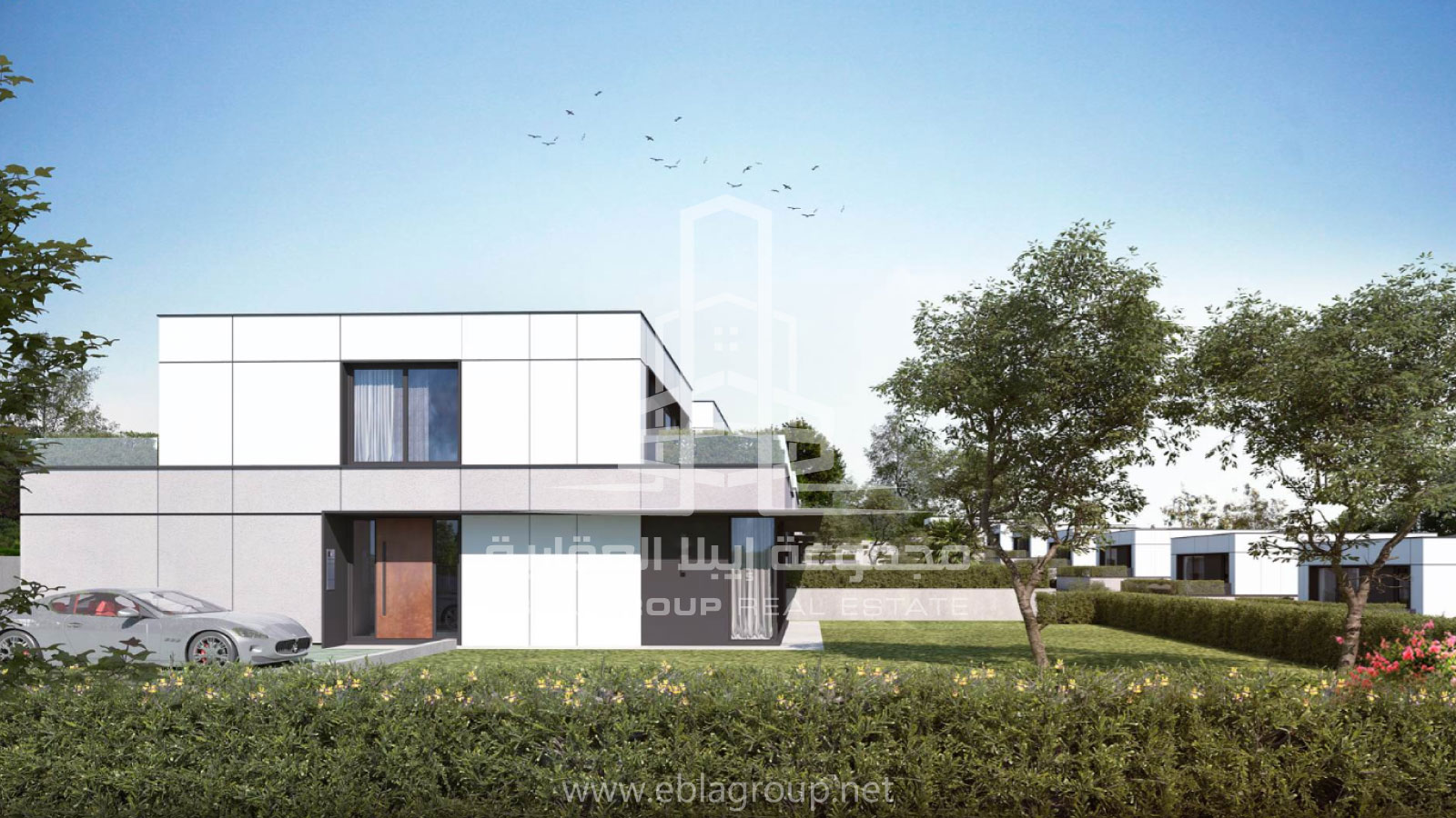 أسعار الفلل في نيلوفر كوي